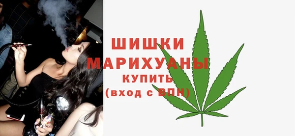 дмт Арсеньев