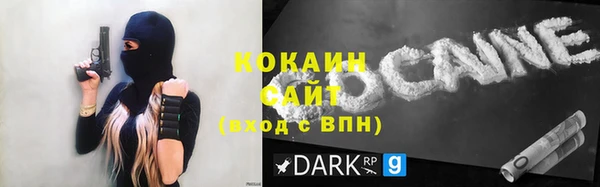 индика Абаза