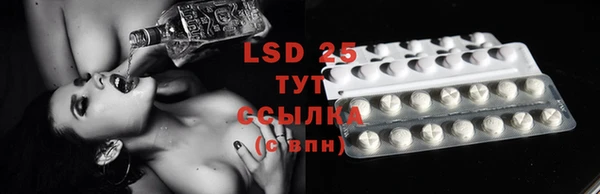 индика Абаза