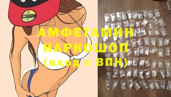 ГАЛЛЮЦИНОГЕННЫЕ ГРИБЫ Аркадак