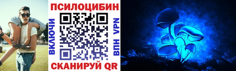 купить наркотик  Тавда  Галлюциногенные грибы MAGIC MUSHROOMS 